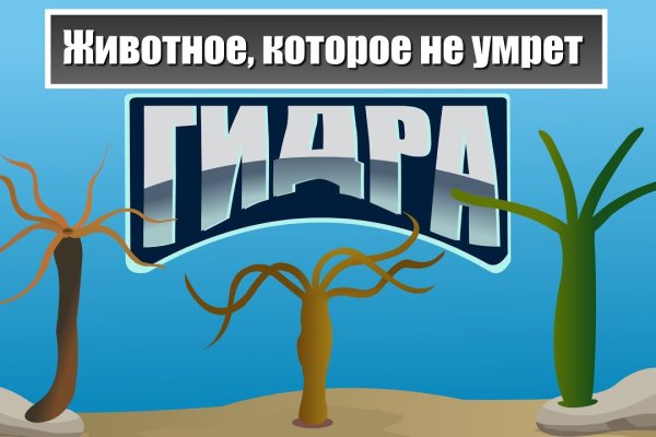 Кракен даркнет kraken014 com